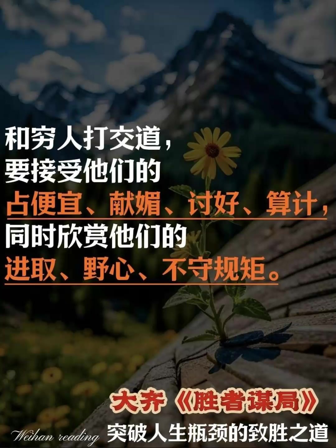 星空体育app-胜者将是最终的赢家，谁将占据领先地位？