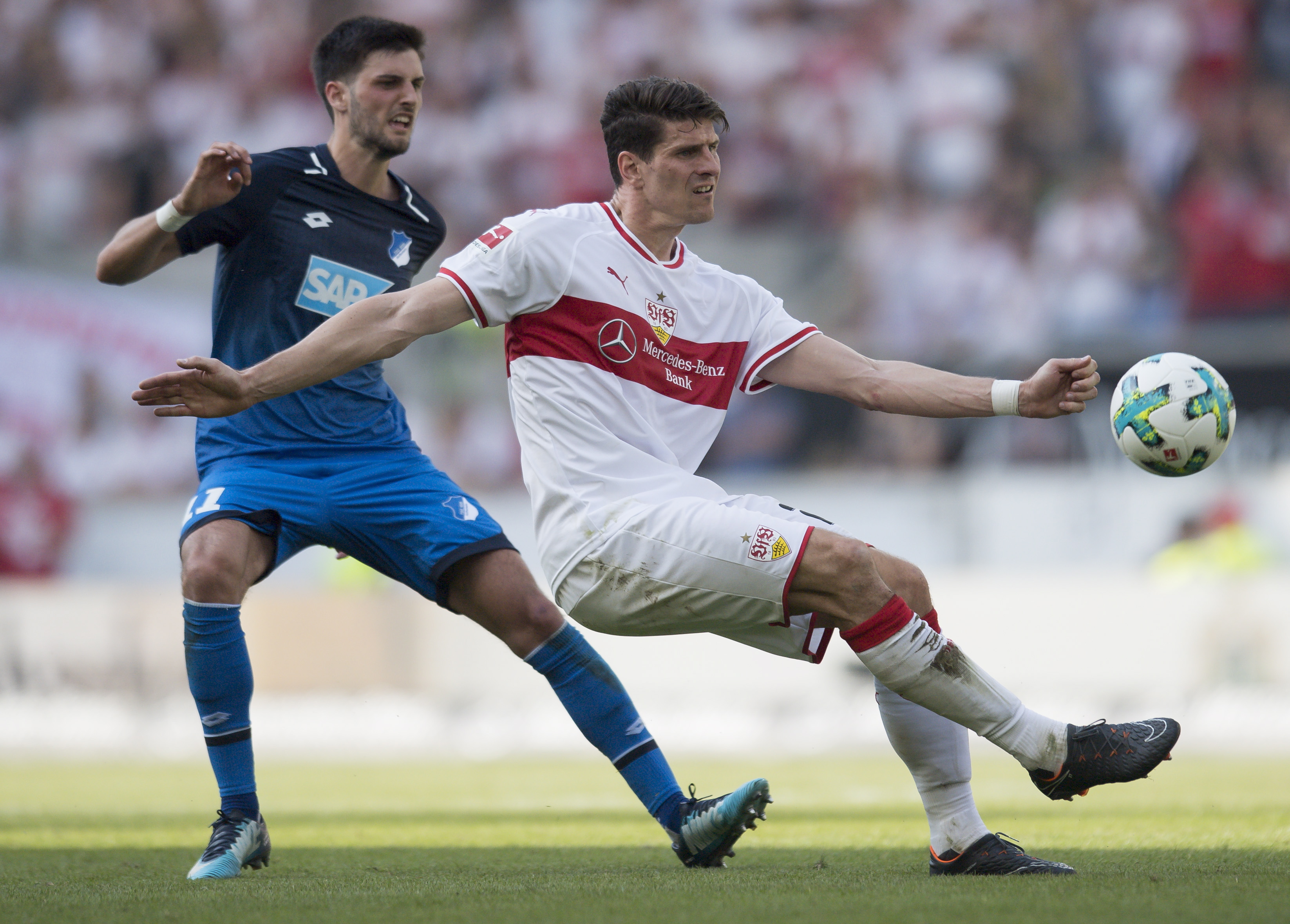 斯图加特战平霍芬海姆,积分暂居中下游的简单介绍 斯图加特战平霍芬海姆,积分暂居中下游的简单介绍