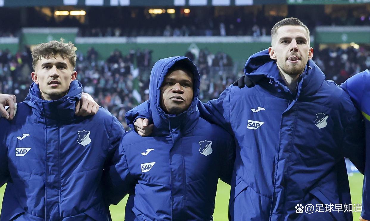 霍芬海姆在主场失利，寻找反击机会的简单介绍
